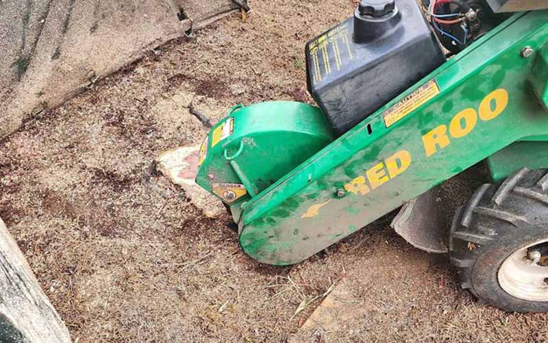 Stump grinding the best permanent way to get rid of Yucca Tree stumps in as little as 10mins its go