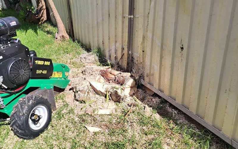 Using a Stump Grinder to remove a Yucca Tree Stump next to a fence.