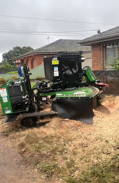 Stump Grinding Melbourne 2