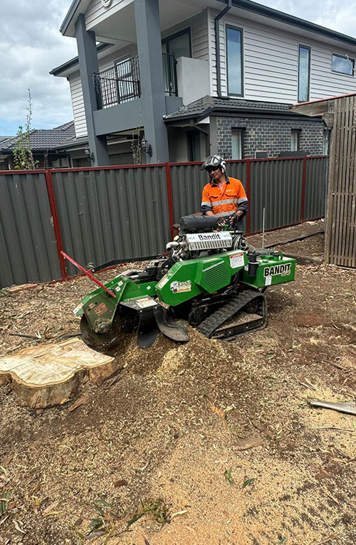 Stump Grinding Melbourne